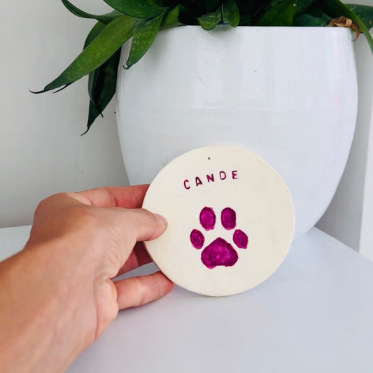 Crea una placa con la huella de tu mascota 🐾