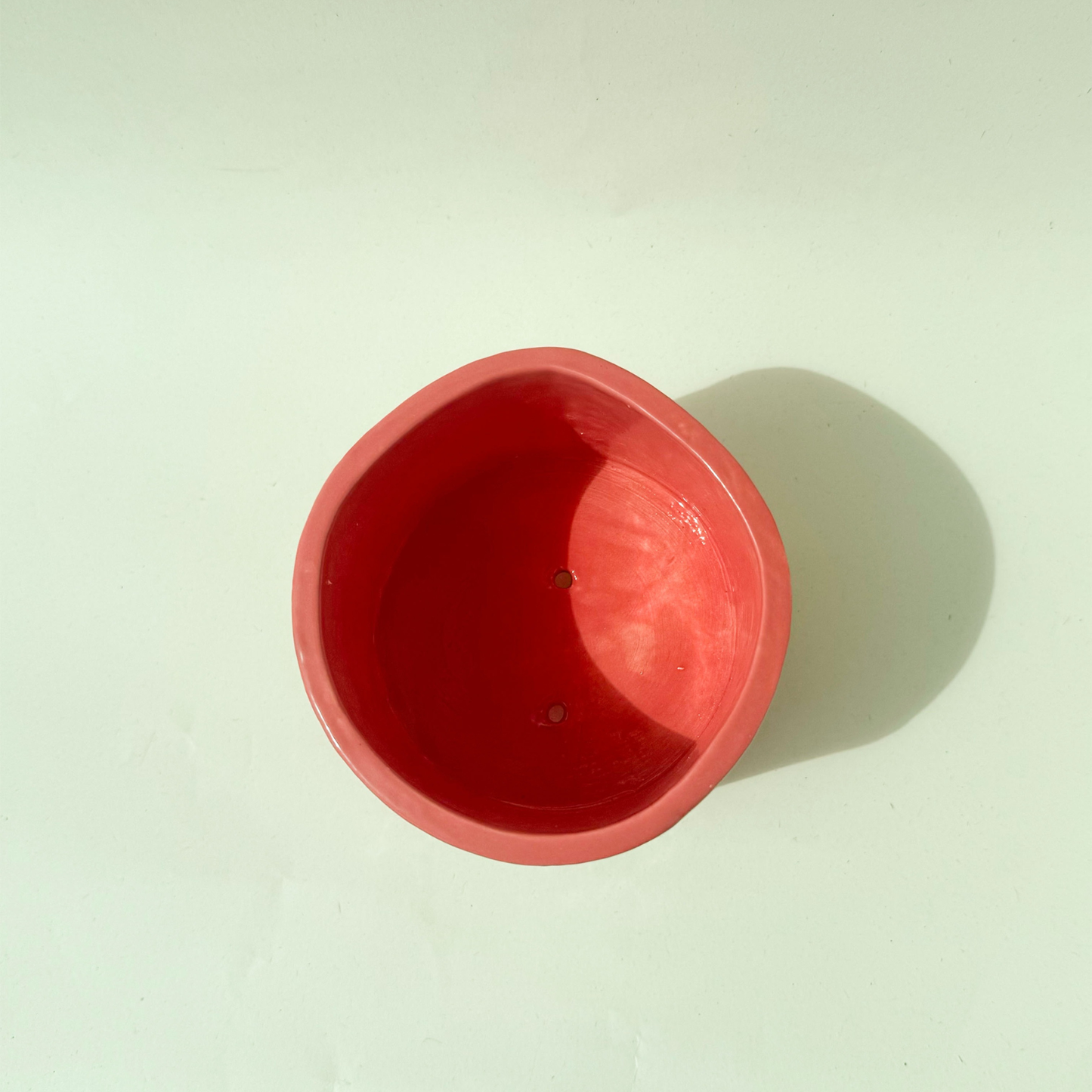Maceta Rosa